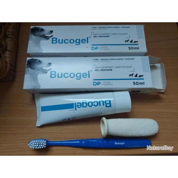dentifrice pour chien chat furet