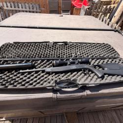 Carabine Bergara BA13 Take-Down .308 Win + Lunette Leupold 4.5-14x40 + Mod&eacute;rateur de son
