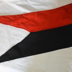 CAVALERIE ALLEMANDE-FLAMME LANCE 19&deg; REGIMENT DE UHLANS -W&Uuml;RTEMBERG-LANCE PENNANT Th 19 UHLANS 1&deg;WW-