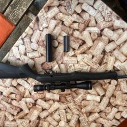 Carabine Rossi 22 lr