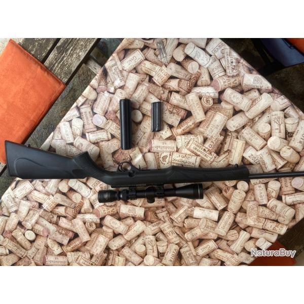 Carabine Rossi 22 lr