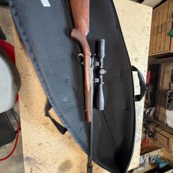 Browning t-bolt 22lr bois