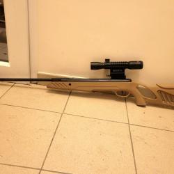 Carabine 4.5mm Swiss arms Tac 1