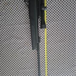 Carabine a plomb Gamo Whisper x