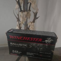 Winchester ballistic silvertip