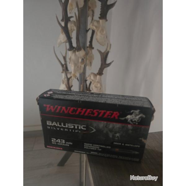 Winchester ballistic silvertip