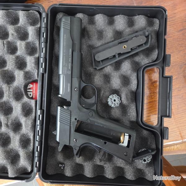 Colt government 1911 A1