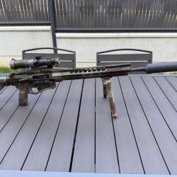 DIAMONDBACK DB10 / CANON LOURD 18" / LPVO � RDS � BIPIED � 3 CHARGEURS