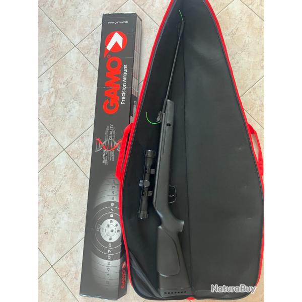 Gamo BigCat 1000E