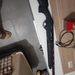STOEGER 3000 semi-auto cal 12