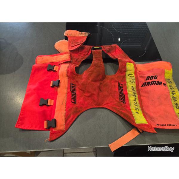 Gilet canihunt dog armor v3
