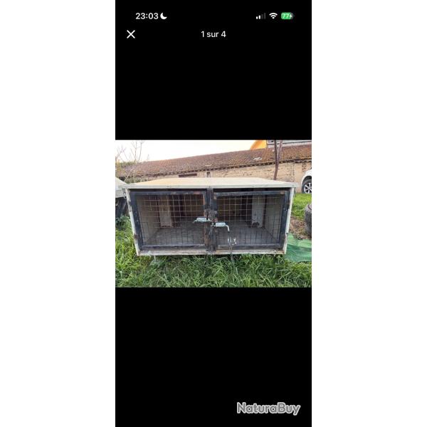 Caisse � chien