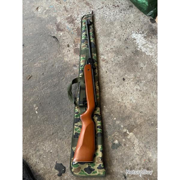 Carabine � plomb Norica 4.5