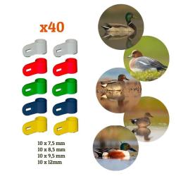 Pack 40 bagues d'attache pour sauvagine et colvert