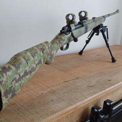 Parker Hale 243 winchester
