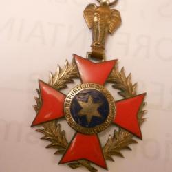 L'insigne de l'ordre national du Tchad reprend les couleurs du drapeau tchadien :, et la m&eacute;daille es