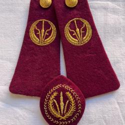 &eacute;paulette fourreau arm&eacute;e du Tchad