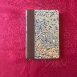 Livre ancien de 1879, la chasse pratique de J-A Clamart, ancien piqueur