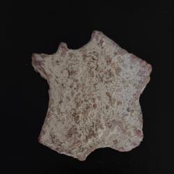 Le bon Fran&ccedil;ais