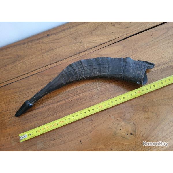 ANCIENNE  PIBOLE  DE CHASSE EN CORNE DE " BUFFLE ".