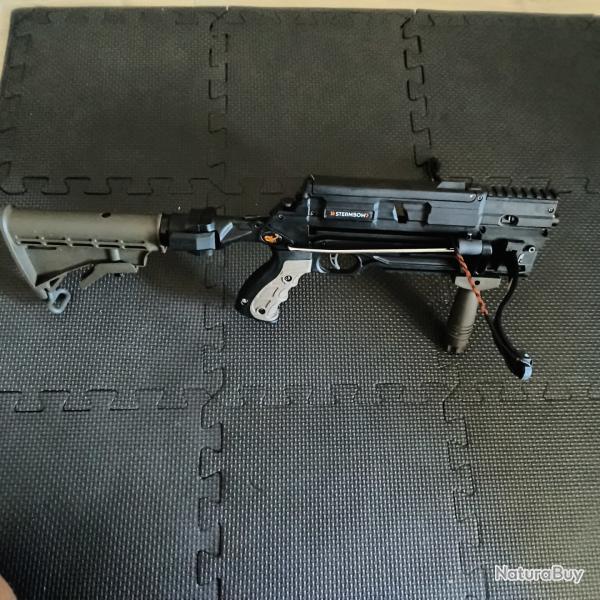 Vend ou �change AR6 stinger 2