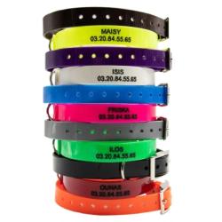 Collier orange &agrave; graver dans la masse BIOGOLD petit chien et chiot 45 cm