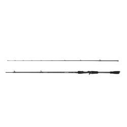 Savage canne Casting Revenge SG2 Heavy BC 2.21m 20-60gr