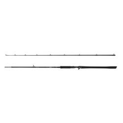 Savage canne Casting SG2 Monster BC 2.59m 70-150gr