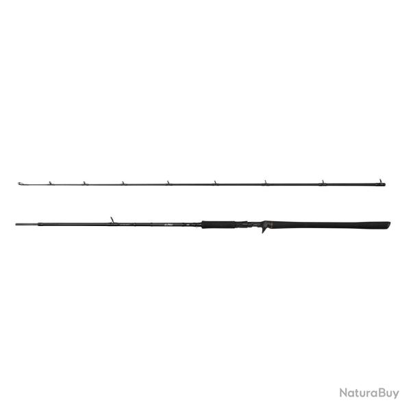 Savage canne Casting SG2 Monster BC 2.59m 70-150gr