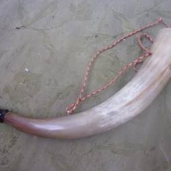 corne d'appel 49 cm