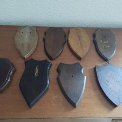 8 ECUSSONS BOIS POUR TROPHEES CHASSE CHEVREUIL CHAMOIS ISARD