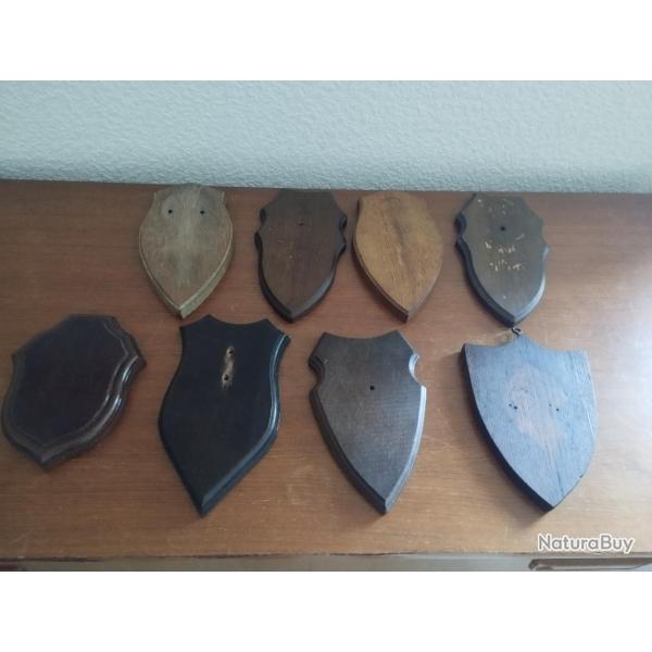 8 ECUSSONS BOIS POUR TROPHEES CHASSE CHEVREUIL CHAMOIS ISARD