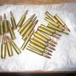 cartouche pour carabine de chasse