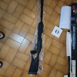 Carabine &agrave; plomb Gamo IGT 10 19,9 joules chargeur 10 coups