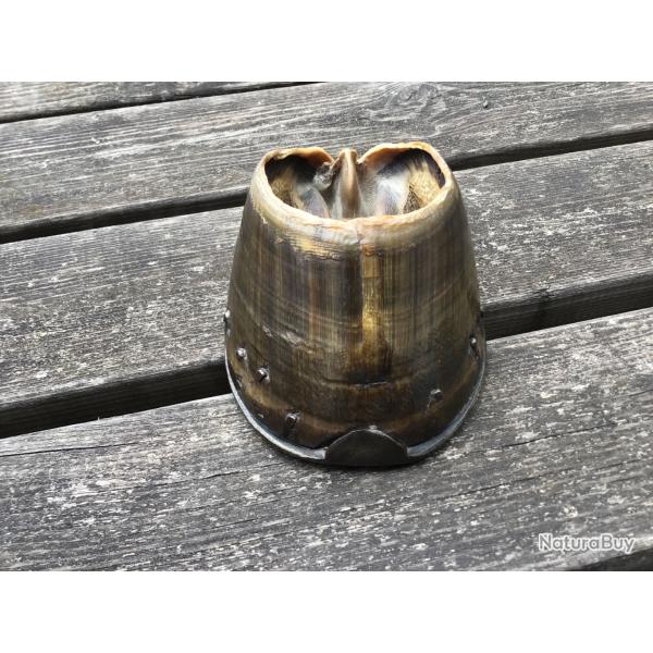Sabot de cheval naturalis�