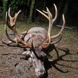 Action de chasse d'exception en Meuse