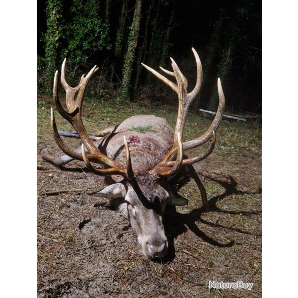 Action de chasse d'exception en Meuse