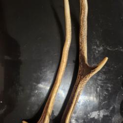 Paire de bois de cerf ou animal troph&eacute;e de chasse decoration