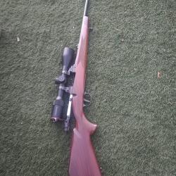 Carabine Brno cal 243