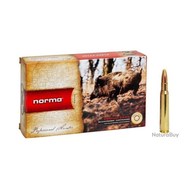 1 Boite de Norma 308 Win Plastic Point 180gr