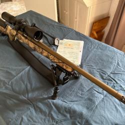 Ruger 22 magnum