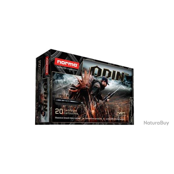 Cartouches NORMA calibre 30-06 Sprg ODIN 180grs 11.7g x20
