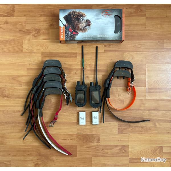 Collier GPS Sportdog Tek 2.0
