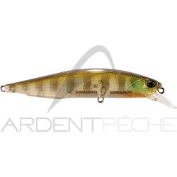 Poisson nageur DUO Realis Jerkbait 100 SP CCC3158