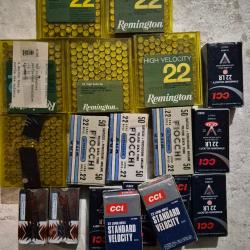 Lot de 1250 cartouches 22LR
