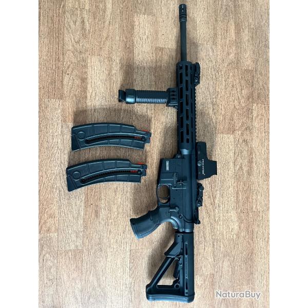 Carabine smith & wesson MP 15-22 toute �quip�e