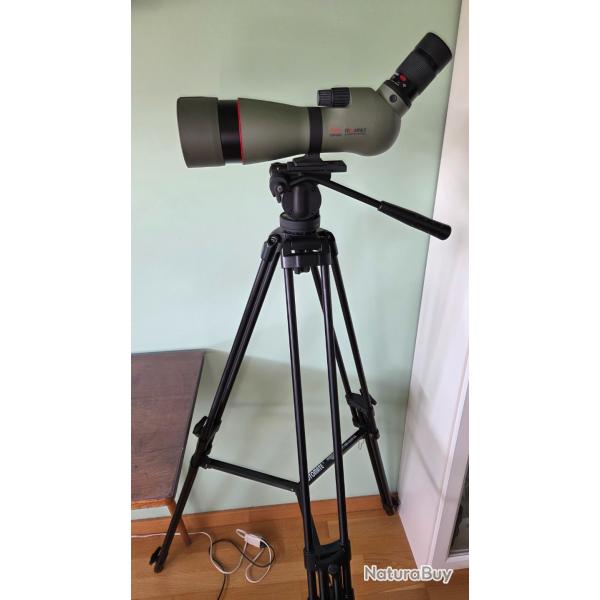 Longue-vue KOWA PROMINAR TSN-883 + Oculaire Zoom 25-60x (TE-11WZ) + Housse - �tat Neuf / Vitrine