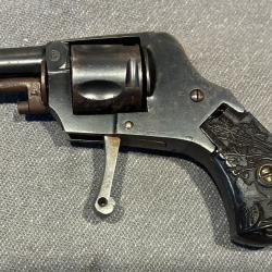 Revolver Puppy 22 short