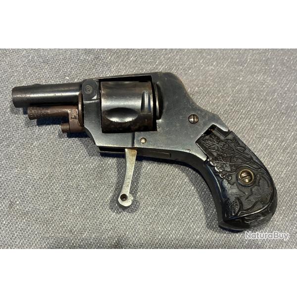Revolver Puppy 22 short