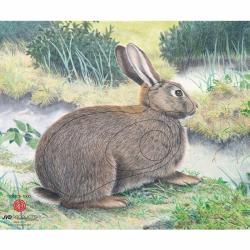 JVD - Lapin